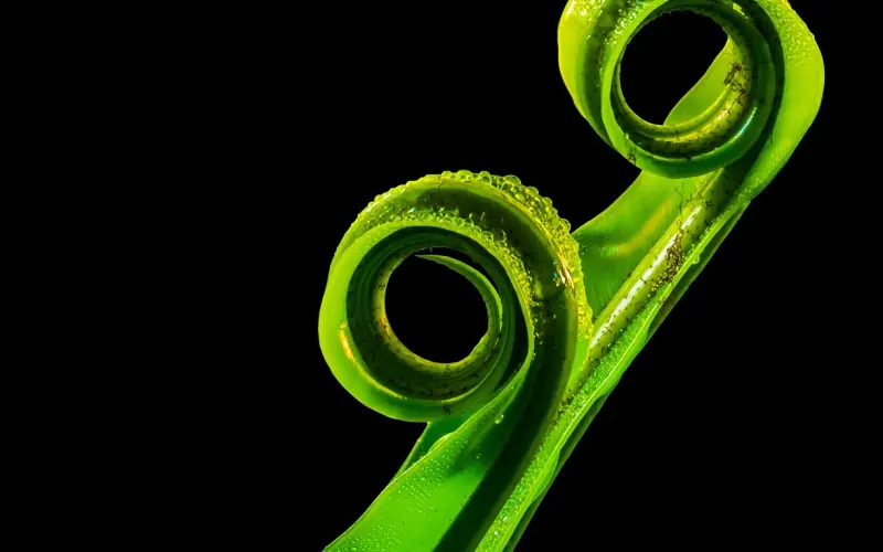 分手后一直放不下怎么办