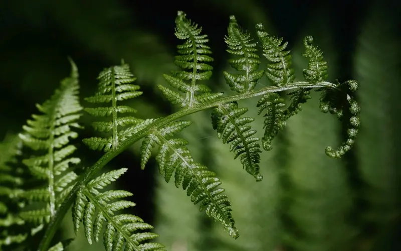 分手许久，却发现放不下前任该怎么办？