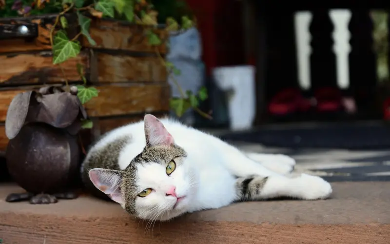 想挽回前夫，我该怎么做？