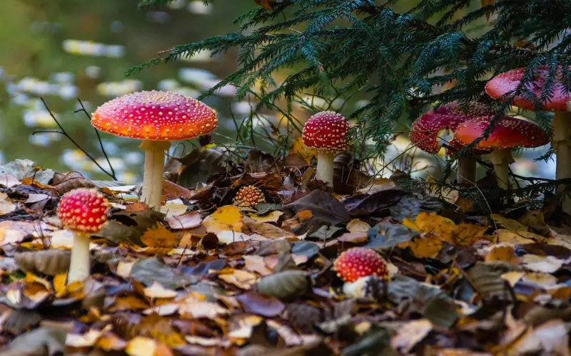 想和男友分手又舍不得怎么办？