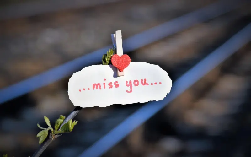 失恋了我该怎么办