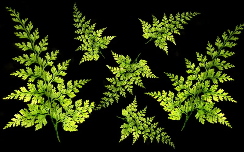 男朋友最近一直躲着我怎么办