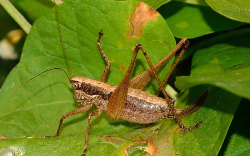 男友性格太直了怎么办