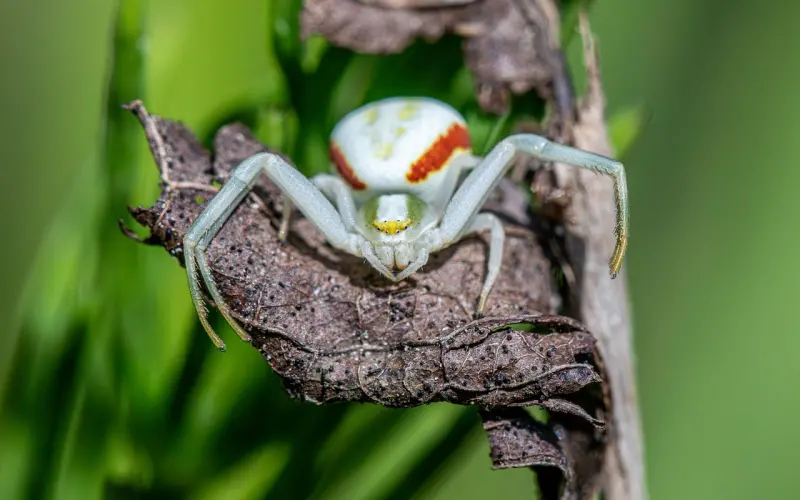 男友嫌我烦要分手怎么办?花镇导师教你两招挽回爱情