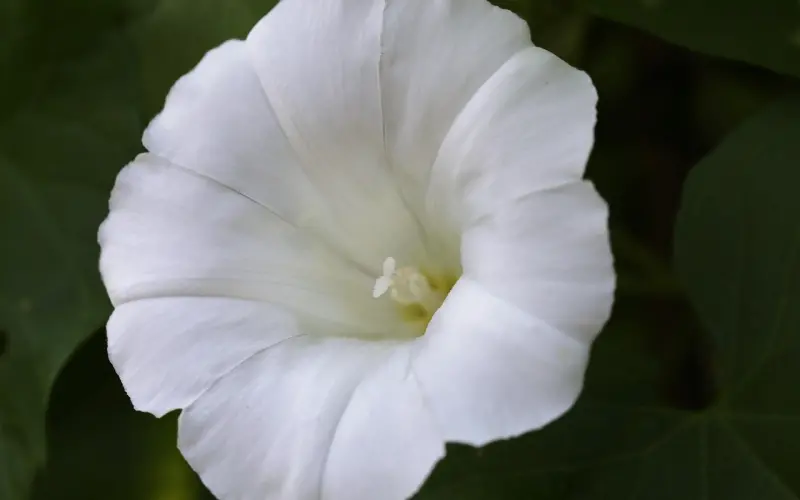 表白被拒绝怎么办？千万不要“硬追”，你应该这么做