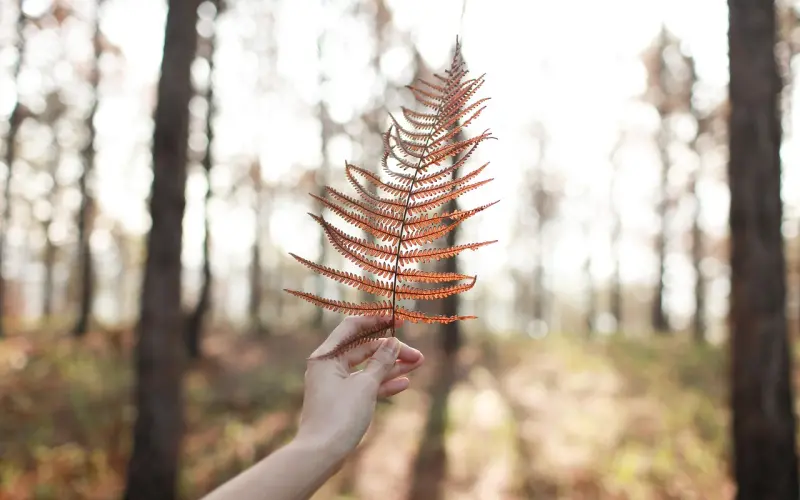 前任说放不下我怎么办