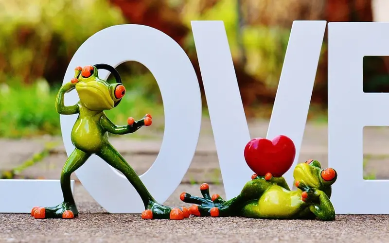 感情变淡怎么办？情感咨询师教你在恋爱中如何保持新鲜感！