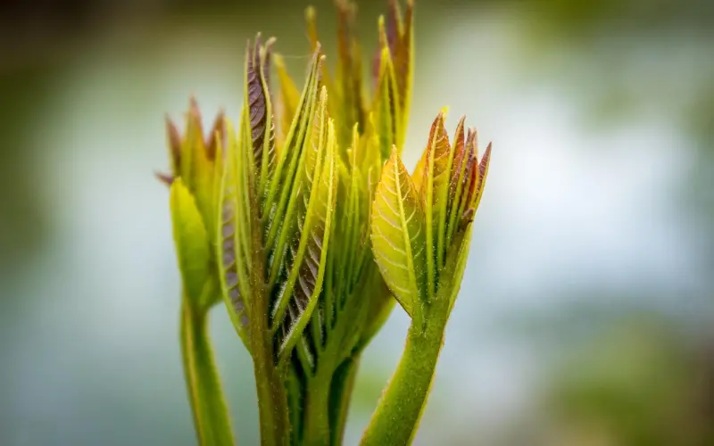 第一次约会之后妹子就不理我了怎么办？