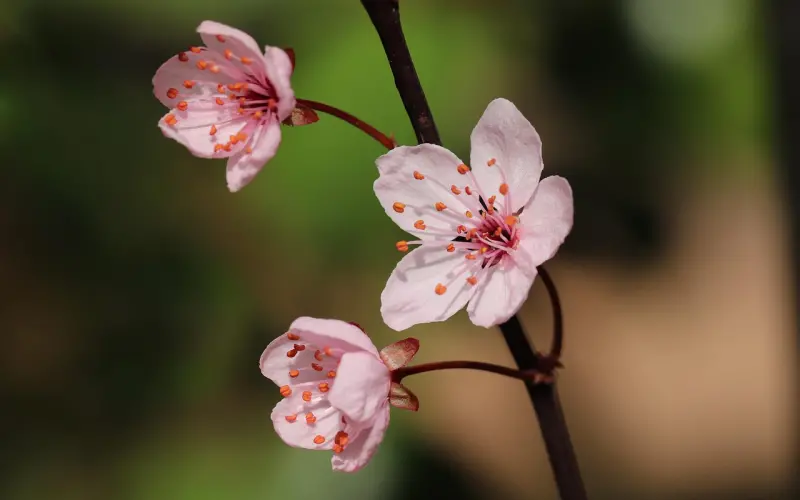 老公要离婚怎么办？用对方法成功挽回，修复你们之间的感情