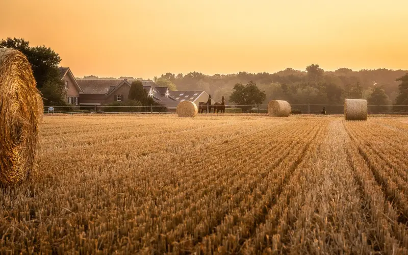 老公有外遇不承认怎么办，这种男人还能要吗？