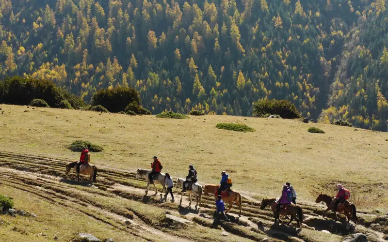 丈夫出轨怎么办？妻子牢记这四个处理方法！（挽回学院-婚姻修复篇） ...