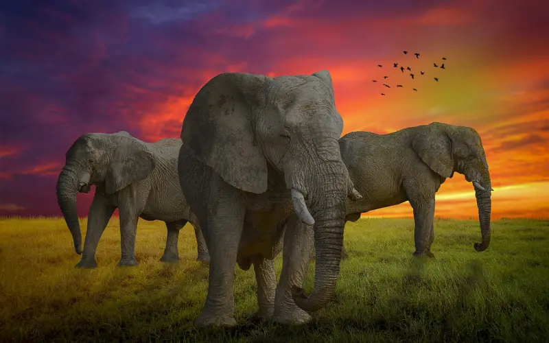 老公犯错想挽回婚姻怎么办？婚恋咨询师教你有效操作方法