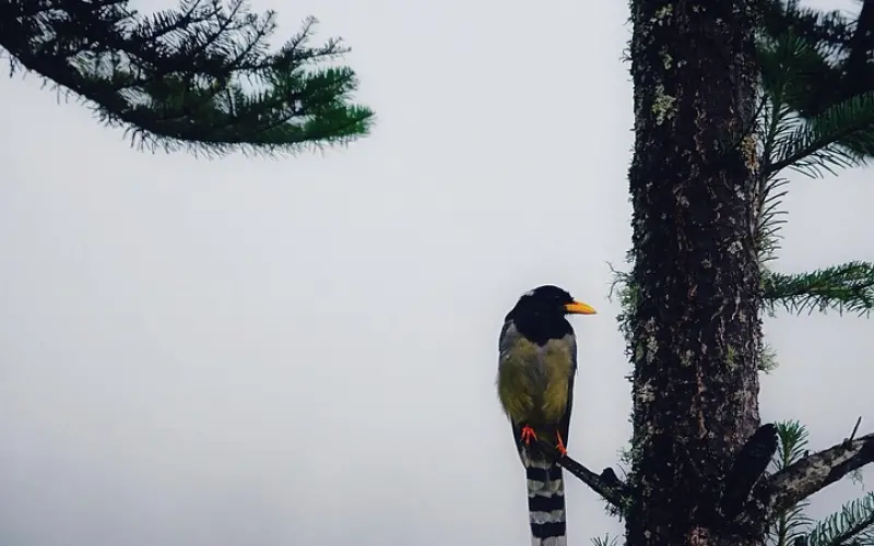 老公出轨找前任 期间不断聊骚怎么办