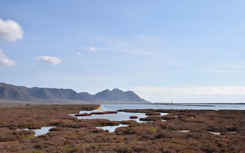 异地恋男友表达生理需求但又说要远离我怎么办