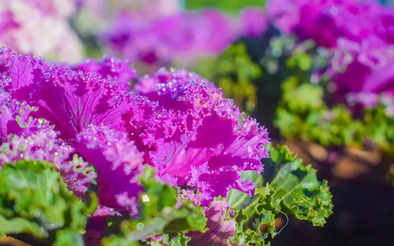 父母说门不当户不对让我和男友分手怎么办