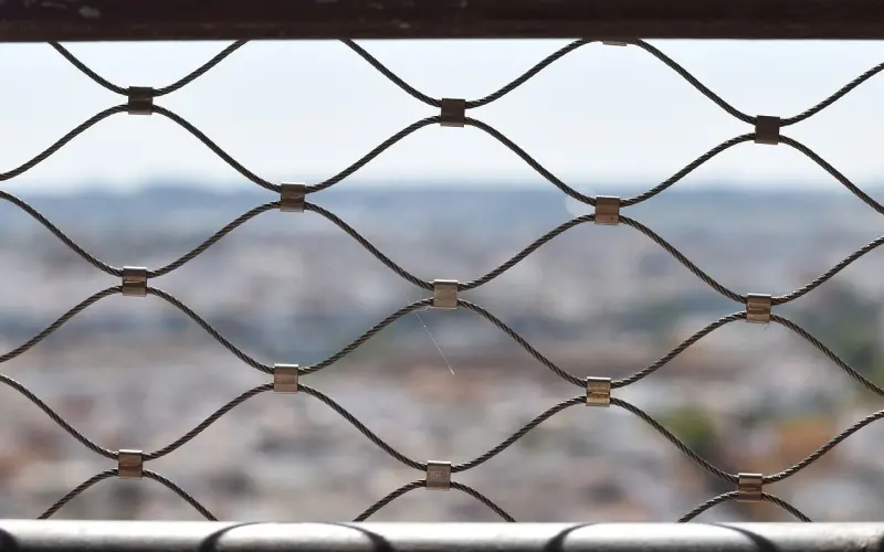 导师答疑/邀约吓跑妹子怎么搞