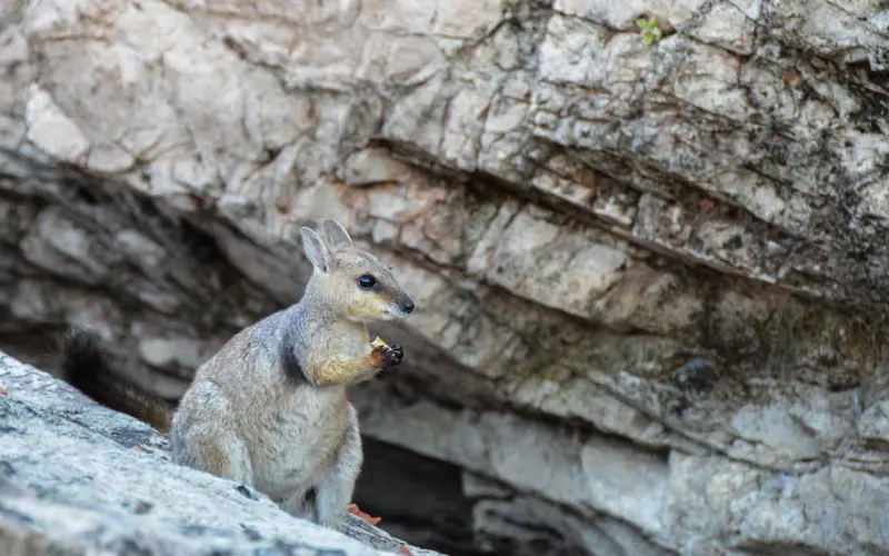 两个有家庭的人，彼此动了真感情怎么办？看看心理学家怎么说