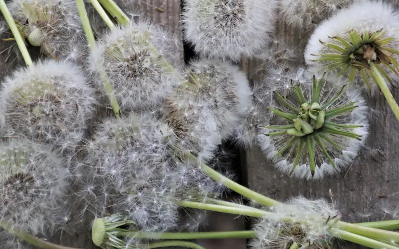 女生对你忽冷忽热怎么办 ？