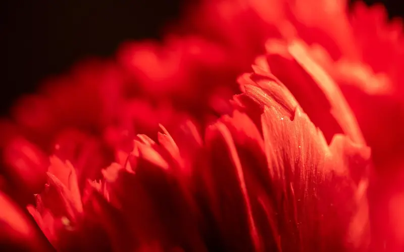 放不下前男友怎么办?花镇情感咨询师帮你修复感情关系