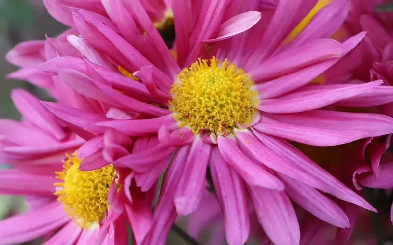 挽回出轨丈夫，要怎么做才对