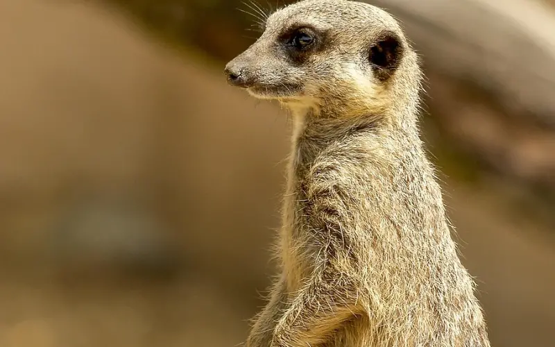 挽留男朋友的话该怎么说？挽回时对话的注意事项