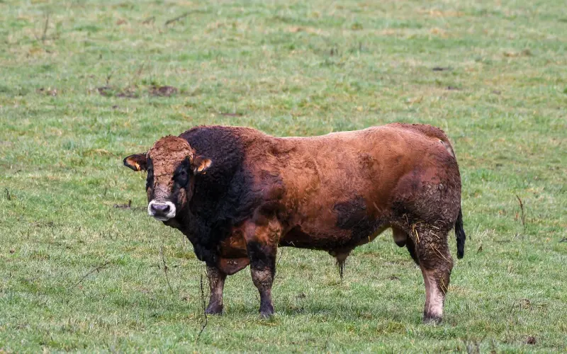 挽留男朋友的话该怎么说？挽回时对话的注意事项