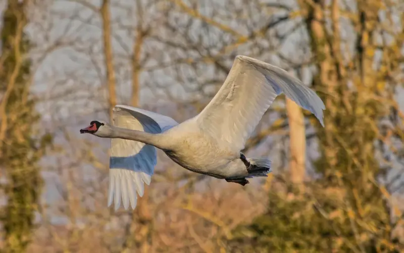 挽回爱情，应该说一句什么话？