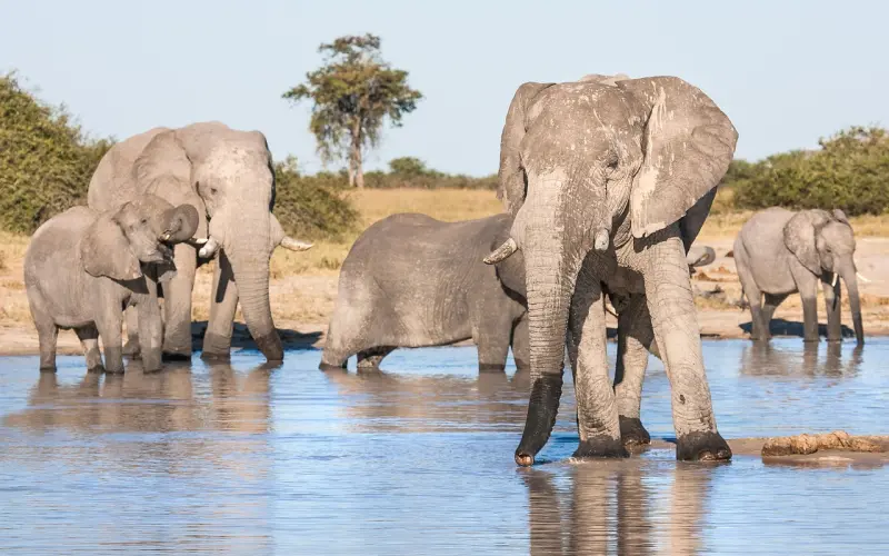分手后想要挽回女朋友该怎么做