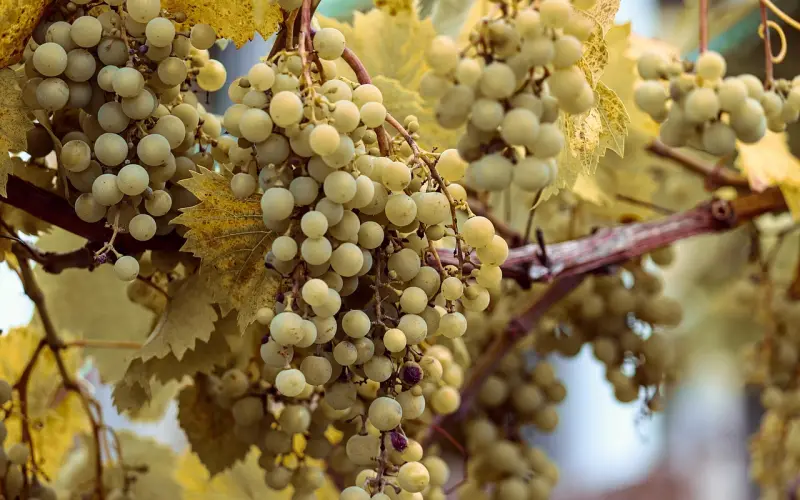 男朋友生气怎么办，不同的恋爱时期有不同的挽回方式