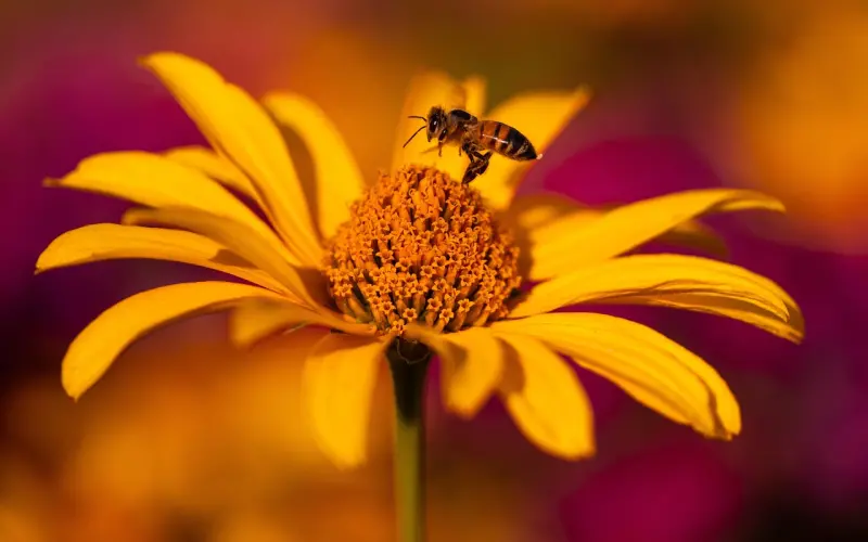 老公出轨怎么办：老公出轨想离婚，还能挽回吗？