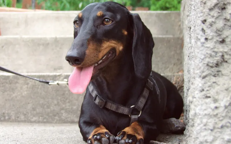 老公心走远了该怎么办：老公心不在家该怎么让老公回心转意