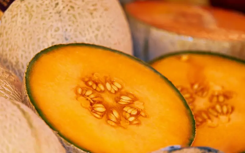 打电话挽回该怎么说