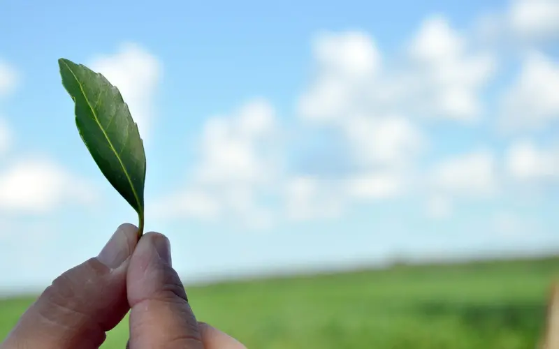 去女朋友家穿什么，才不会被丈母娘赶出来