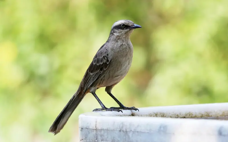 恋爱里，该找什么类型的人？