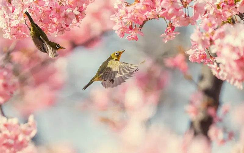 挽回中，那些你必须要知道的事！