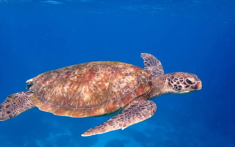 什么脾气，就什么命。（不信你看）