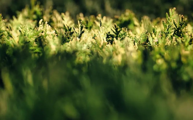 什么脾气，就什么命。