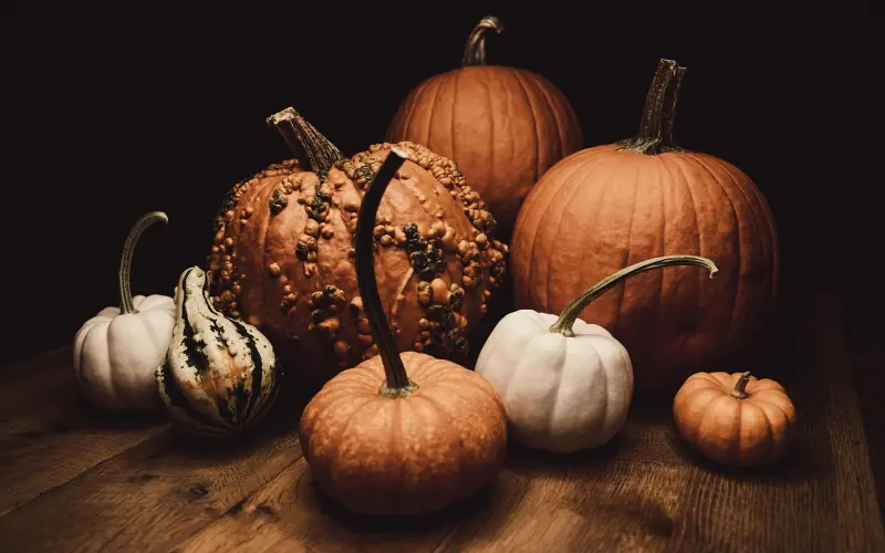 两个人在一起最好的状态是什么？