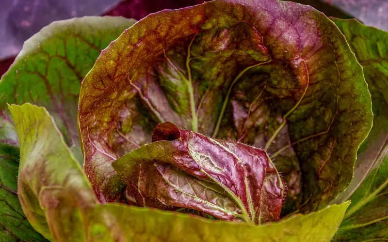 分手后还保留前任遗留物是什么心态？