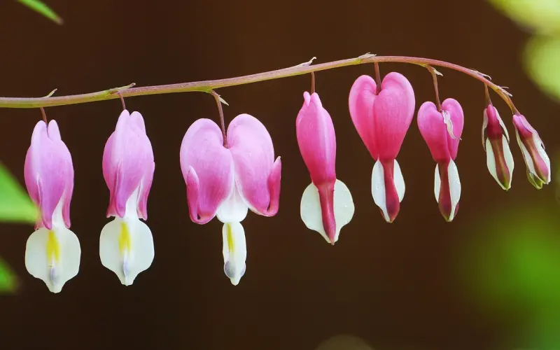 当妹子出现这种行为，你就可以下手了