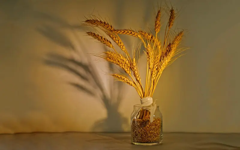 小三出现时，女人该如何打好婚姻保卫战