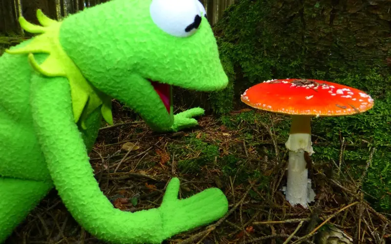 女人做这几件事，其实是在暗示你：她爱你！