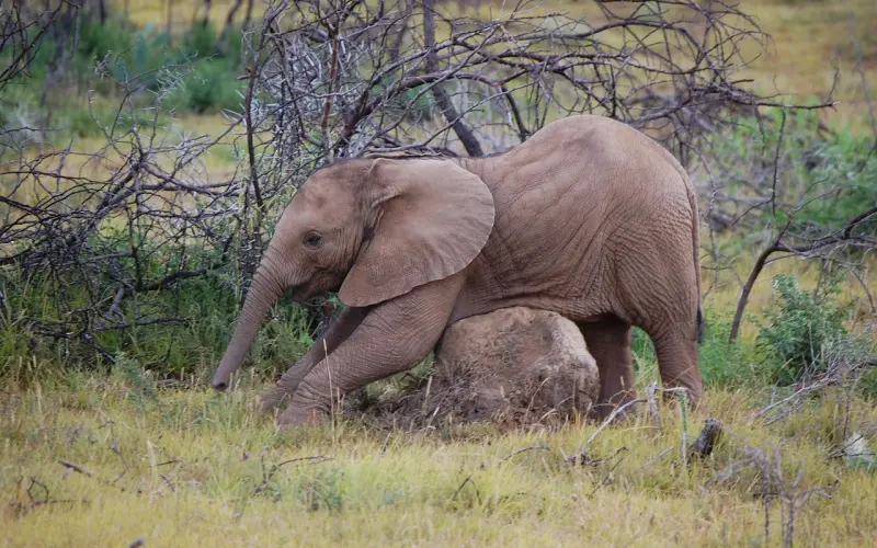 女人想你了，不会说我想你，通常用这5句话暗示你