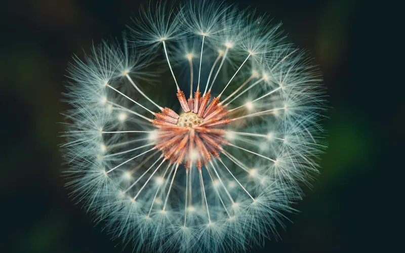 女人这样说话，男人会更心甘情愿满足她的愿望