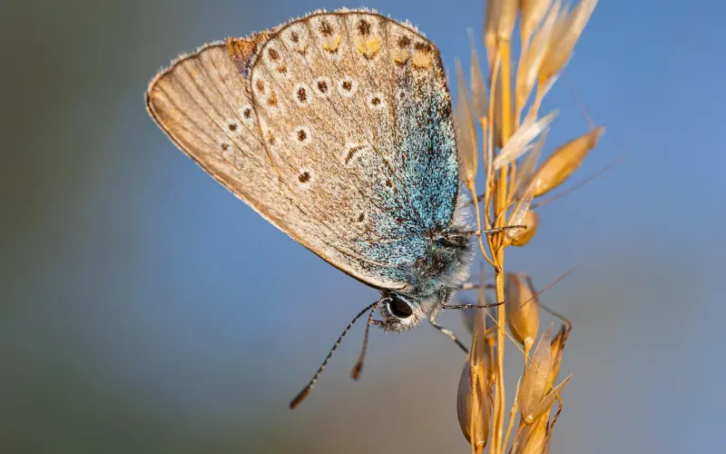 异地恋出现情感危机，你该如何维持你们脆弱的感情？