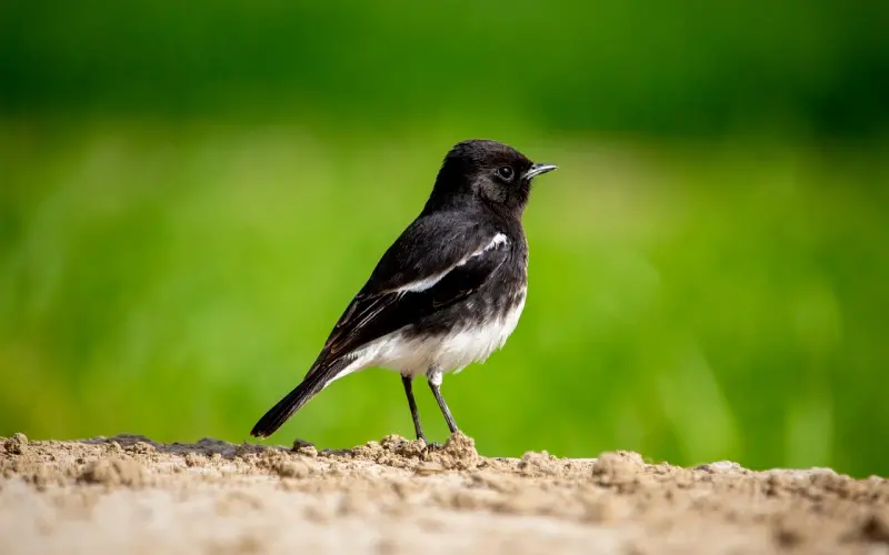 跟男性聊天时，要格外注意这一点！