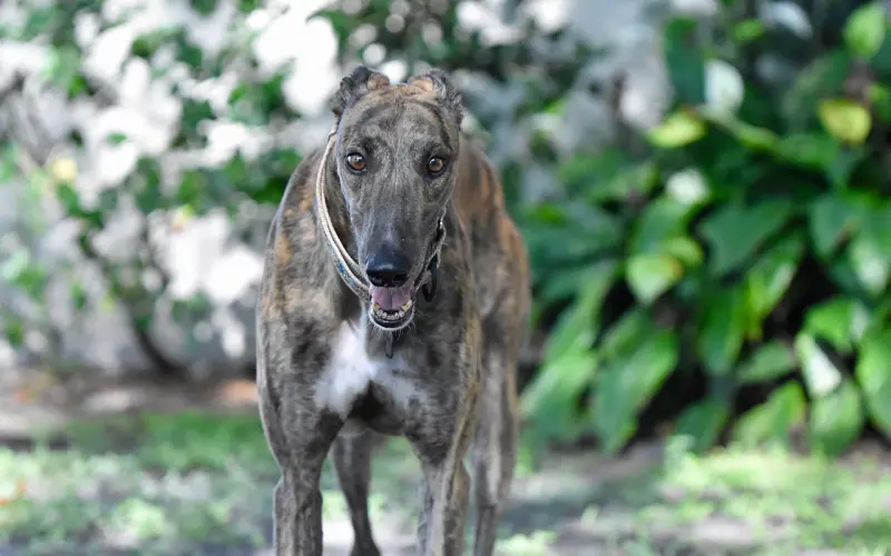 ?夫妻这样做，比离婚更可怕！