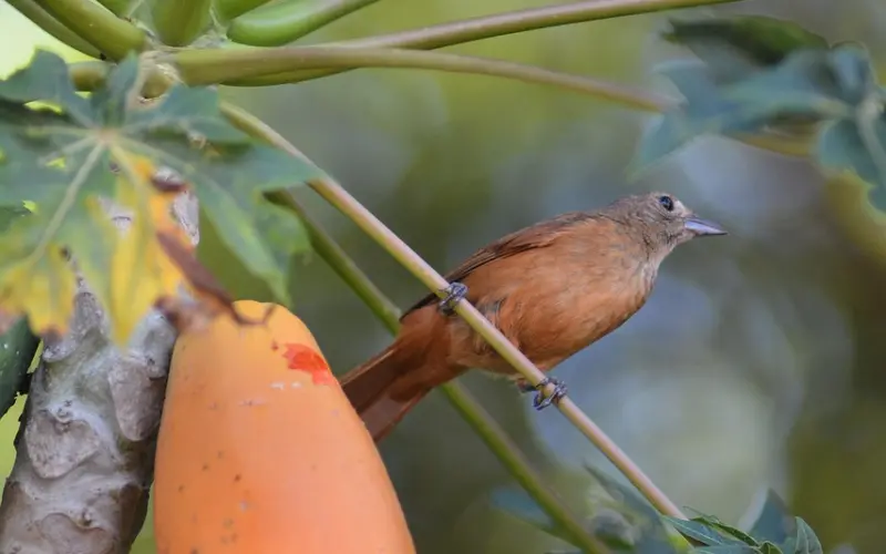 跟年纪比自己小的男人拍拖，你必须知道这3个真相