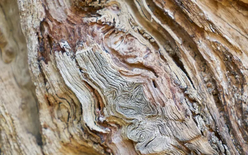 谈恋爱是找性格相似还是互补的?