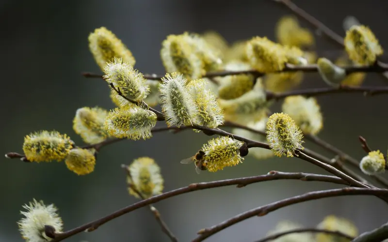 异性相处，女人常和你说这些话，八成对你有意思